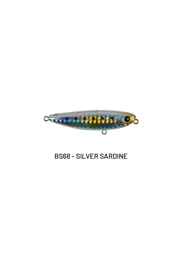 Baskın 65 - BS68 Silver Sardine